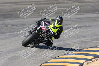 media/Feb-04-2024-SoCal Trackdays (Sun) [[91d6515b1d]]/4-Bowl Backside (11am)/